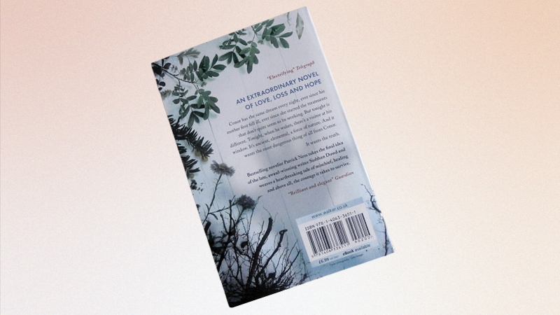 Back cover of a novel showing the book blurb text and barcode